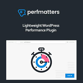 Complemento de WordPress de Perfmatters Pro