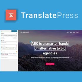 TranslatePress Pro (BUSINESS PLAN)